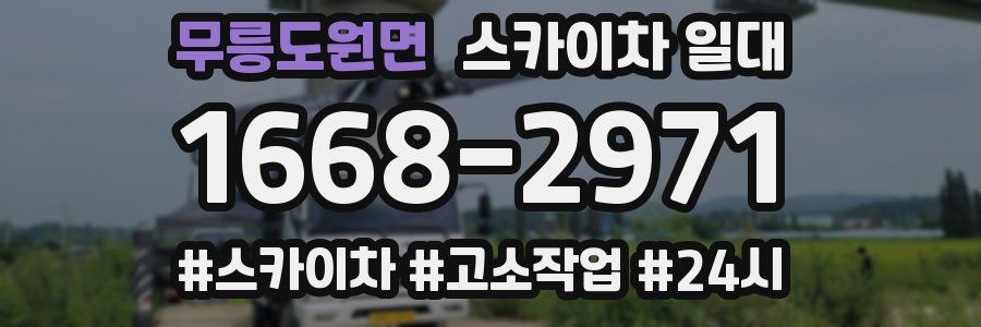무릉도원면 스카이차 일대