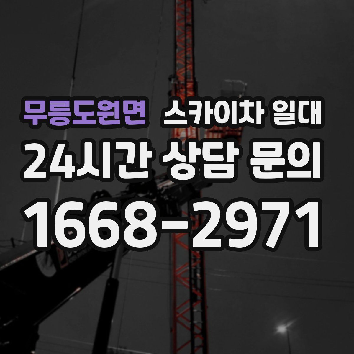 무릉도원면 스카이차 일대