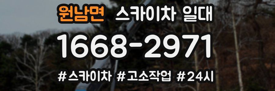 원남면 스카이차 일대
