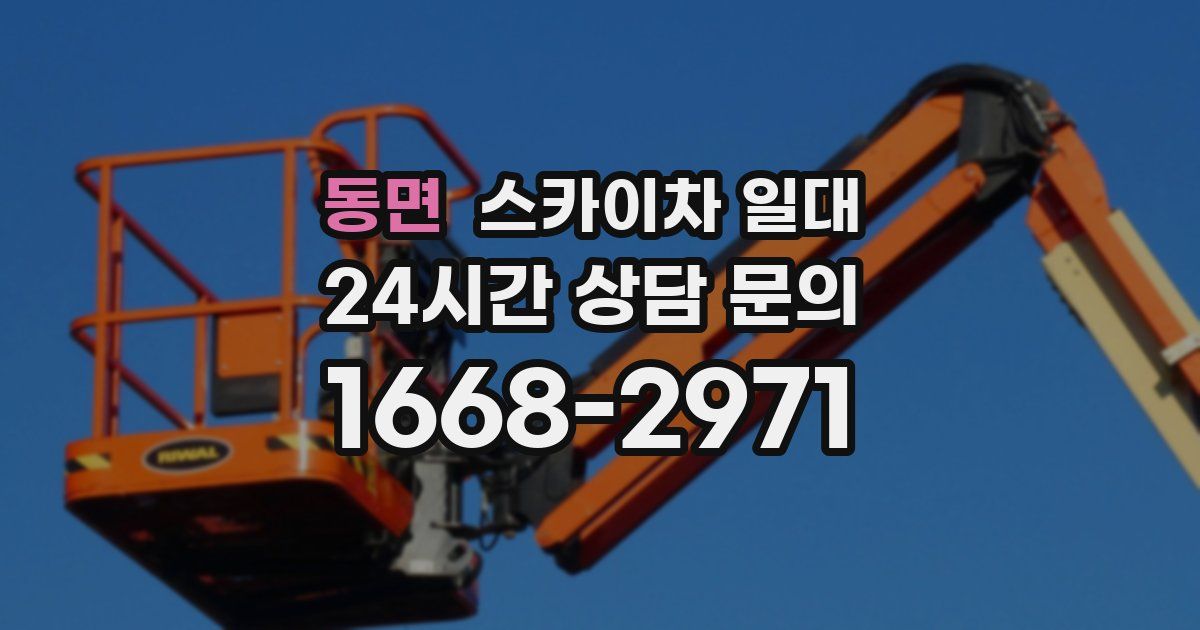 동면 스카이차 일대