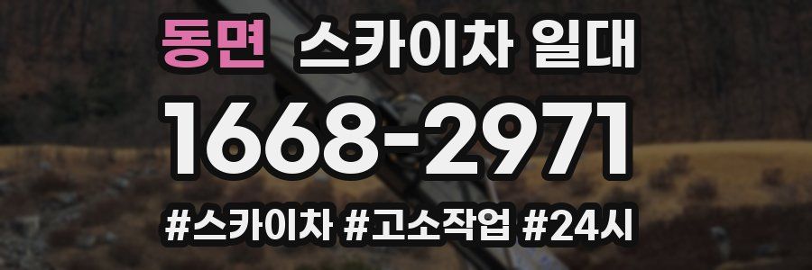 동면 스카이차 일대
