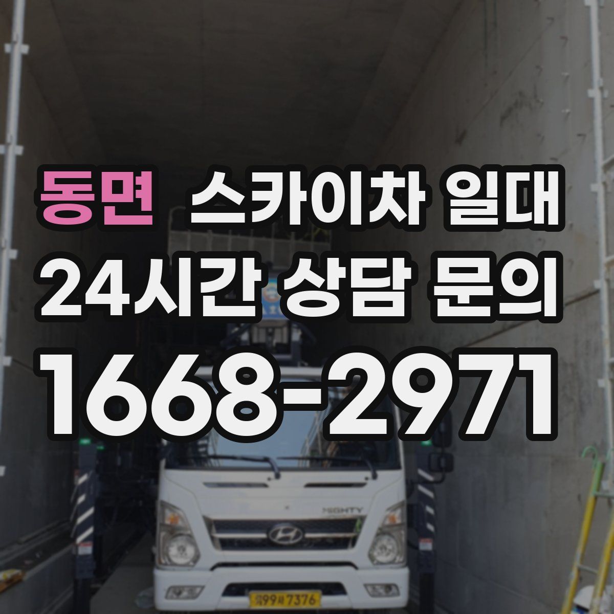 동면 스카이차 일대