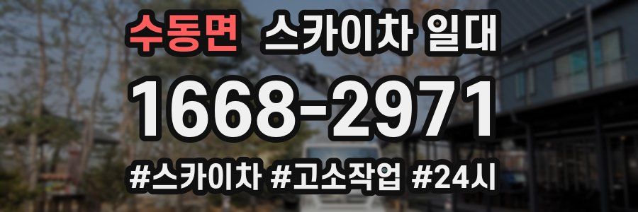 수동면 스카이차 일대