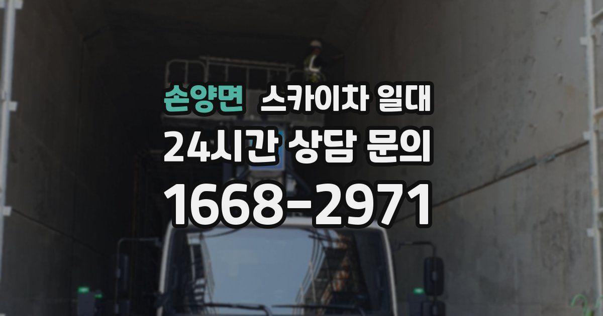 손양면 스카이차 일대
