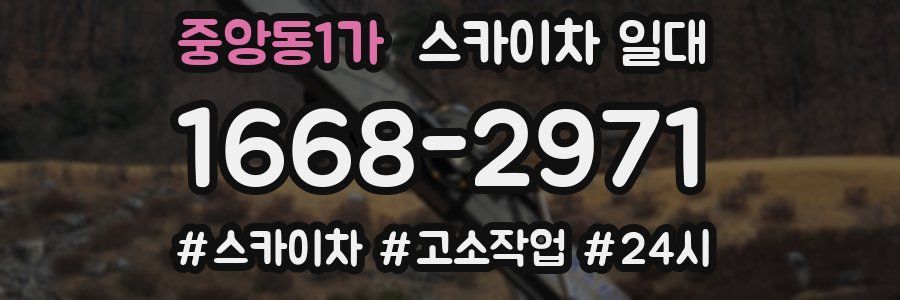 중앙동1가 스카이차 일대