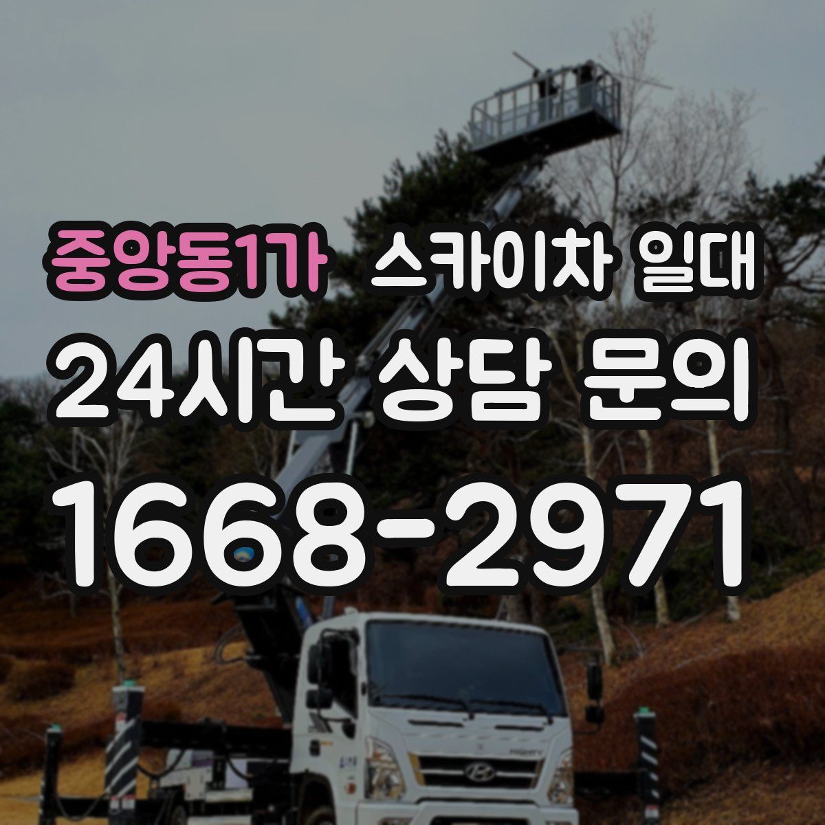 중앙동1가 스카이차 일대