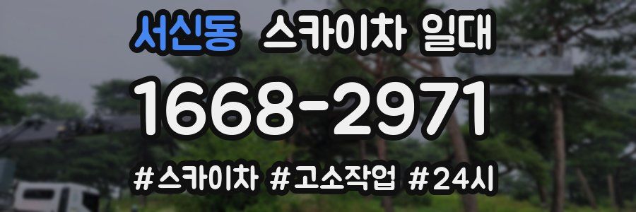 서신동 스카이차 일대