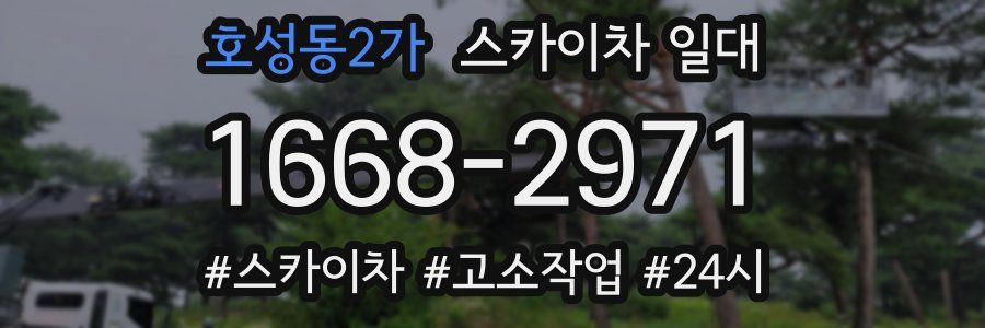 호성동2가 스카이차 일대