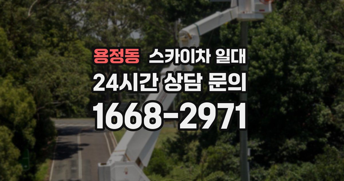 용정동 스카이차 일대