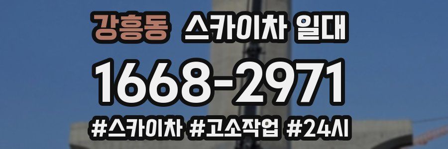 강흥동 스카이차 일대