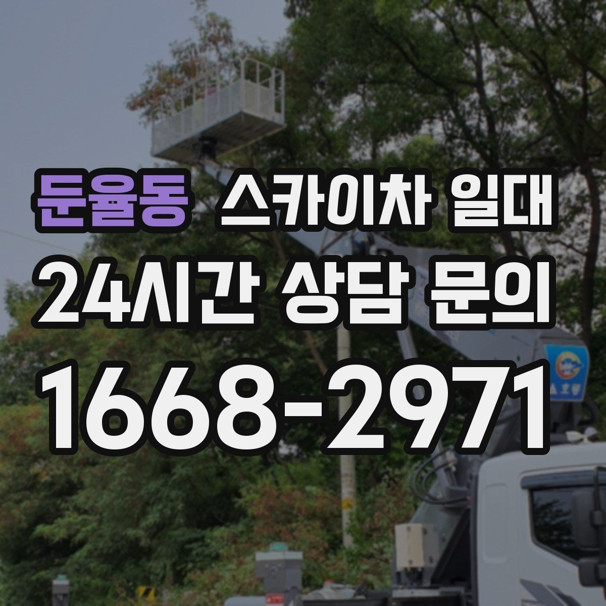 둔율동 스카이차 일대 좁은 공간에서도 고려할 점