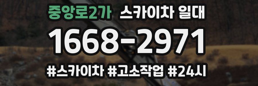 중앙로2가 스카이차 일대