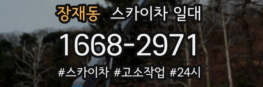 장재동 스카이차 일대