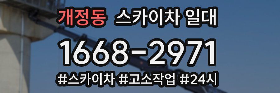 개정동 스카이차 일대