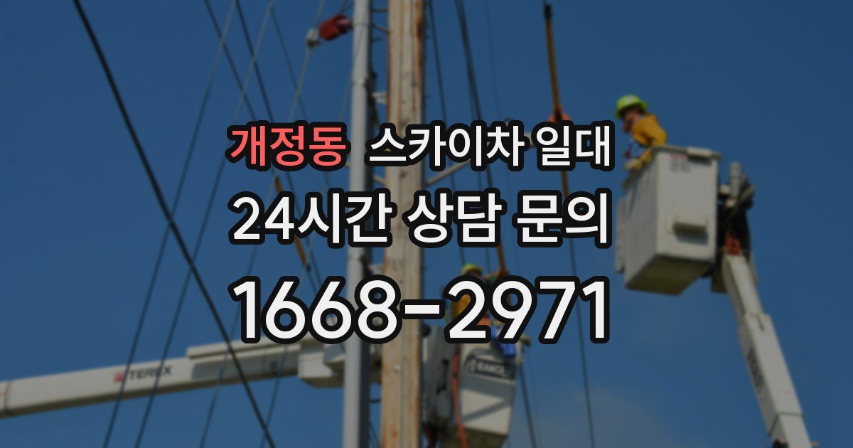 개정동 스카이차 일대
