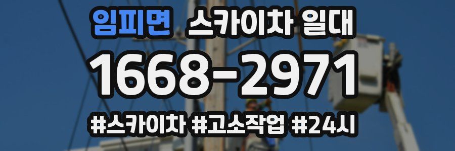 임피면 스카이차 일대