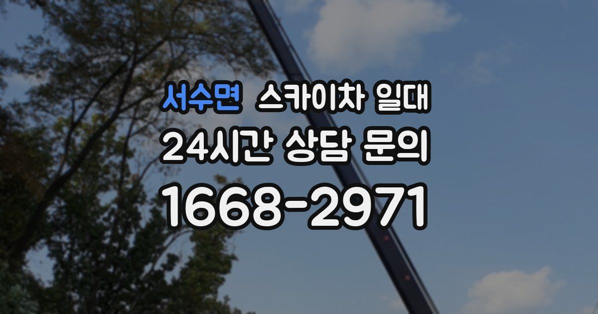 서수면 스카이차 일대