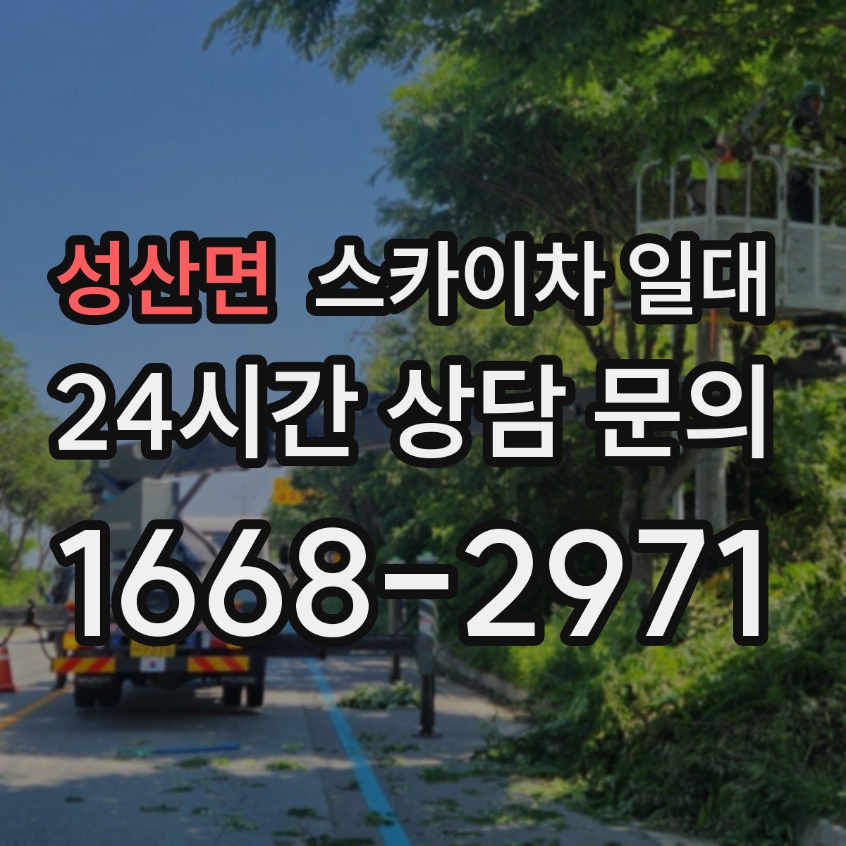 성산면 스카이차 일대