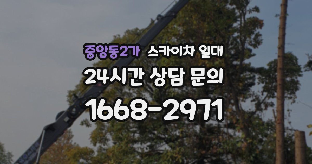중앙동2가 스카이차 일대