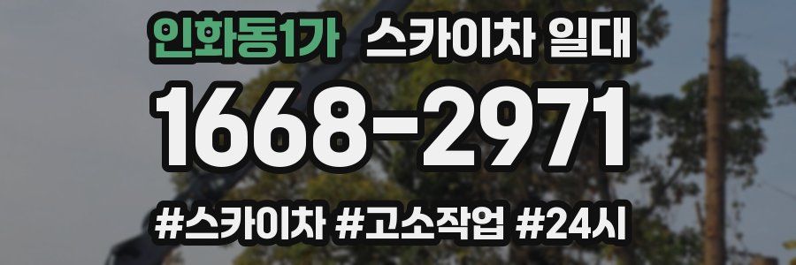 인화동1가 스카이차 일대