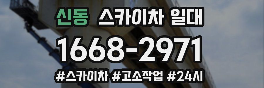 신동 스카이차 일대