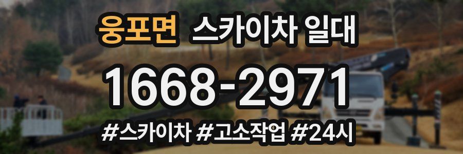 웅포면 스카이차 일대