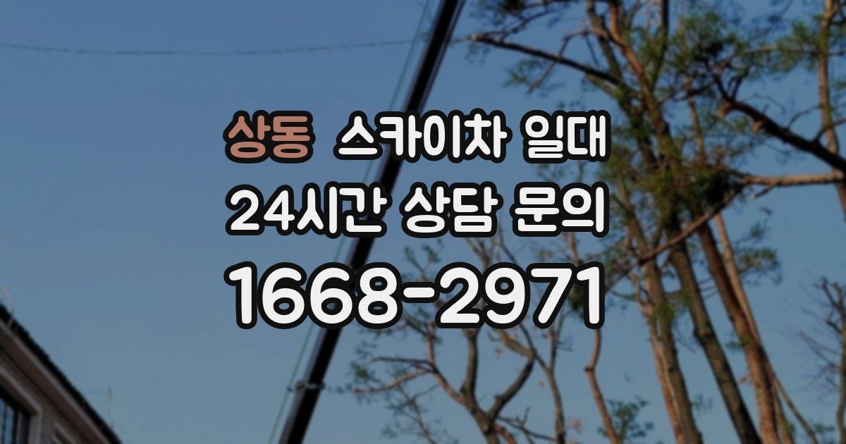 상동 스카이차 일대