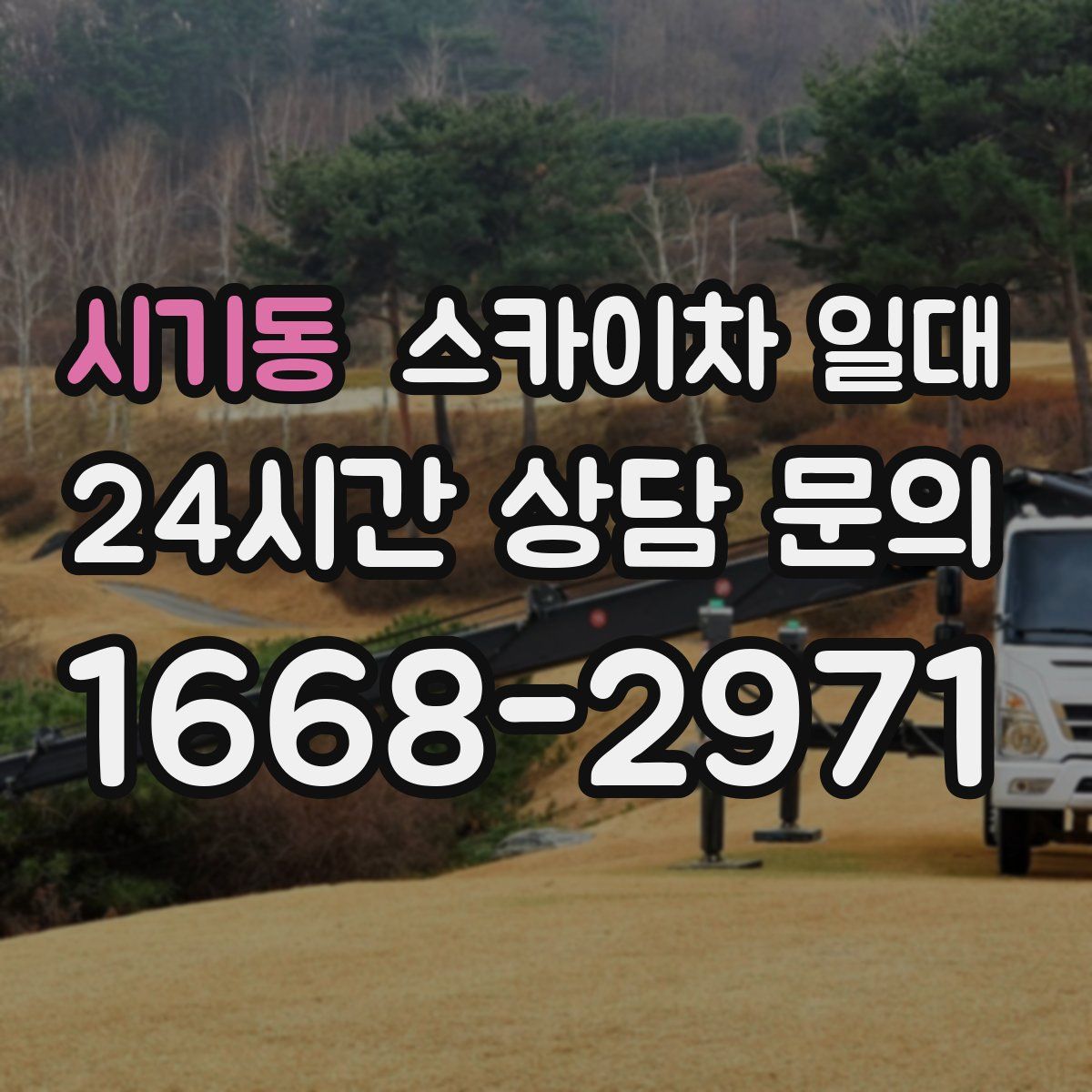 시기동 스카이차 일대