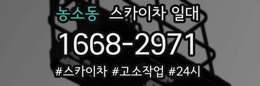 농소동 스카이차 일대