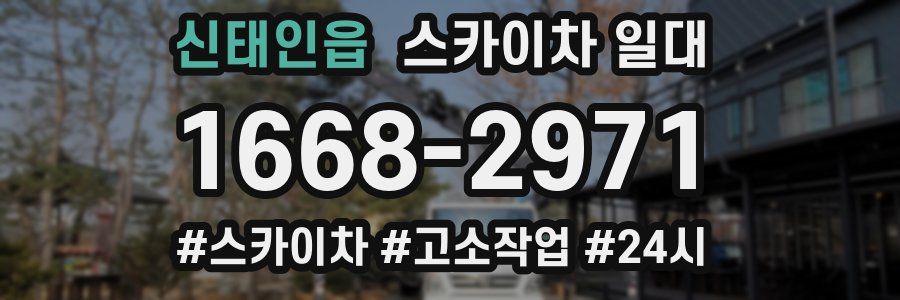 신태인읍 스카이차 일대