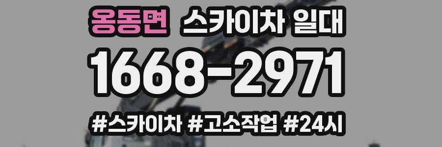 옹동면 스카이차 일대