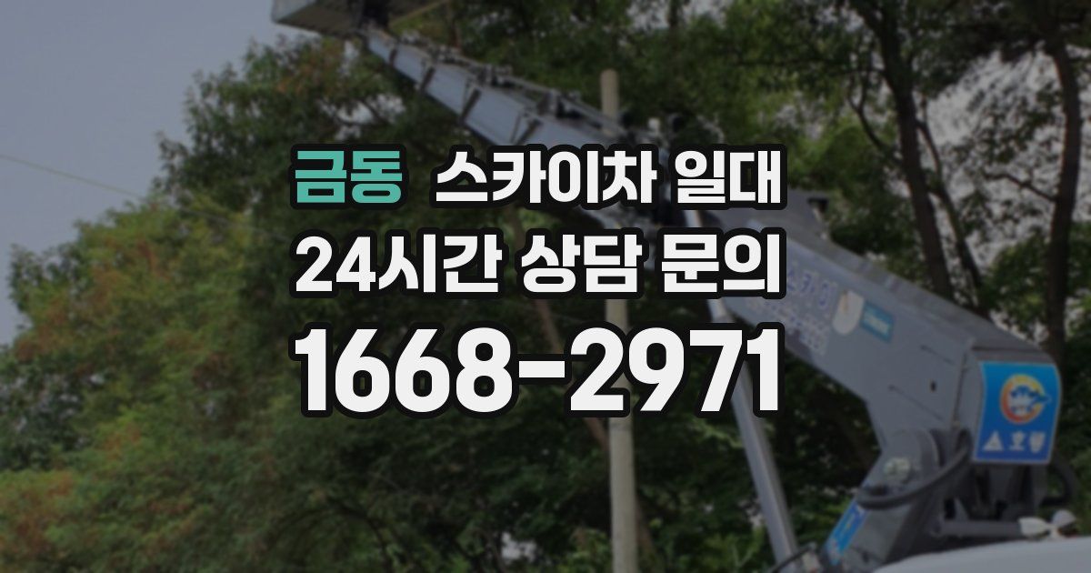 금동 스카이차 일대