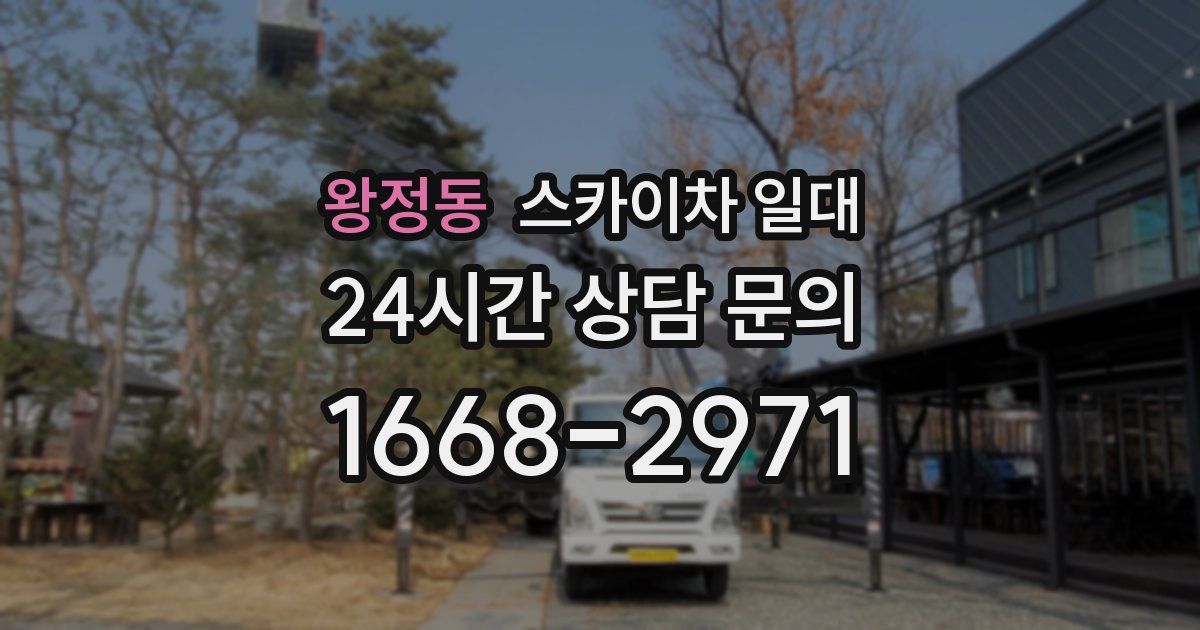 왕정동 스카이차 일대