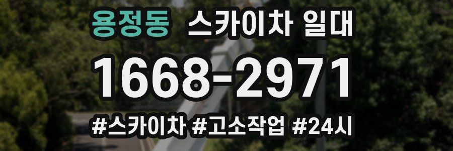 용정동 스카이차 일대