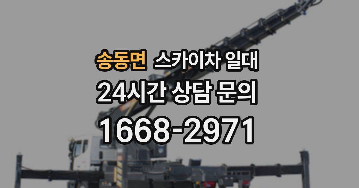 송동면 스카이차 일대