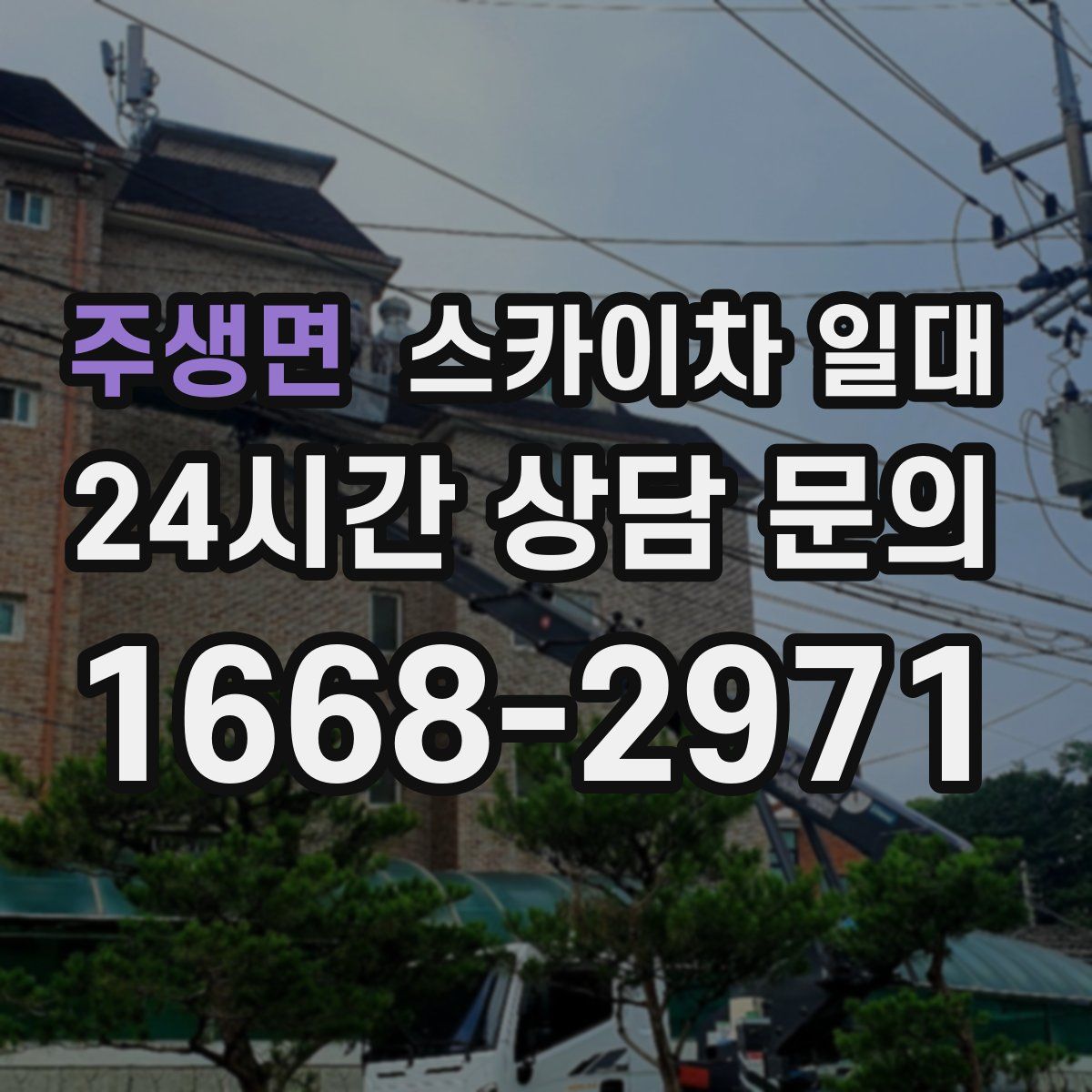 주생면 스카이차 일대