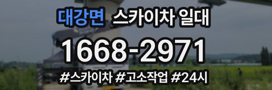 대강면 스카이차 일대