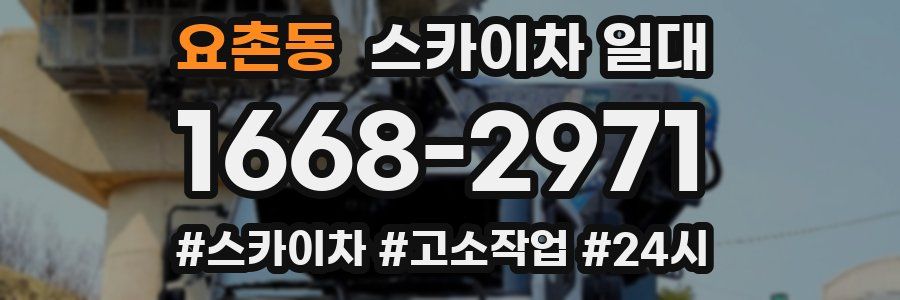 요촌동 스카이차 일대