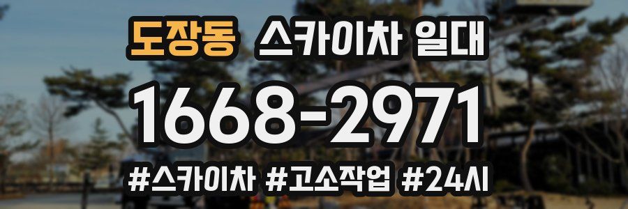 도장동 스카이차 일대