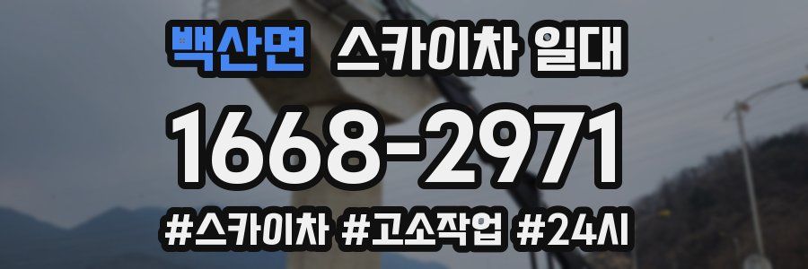 백산면 스카이차 일대