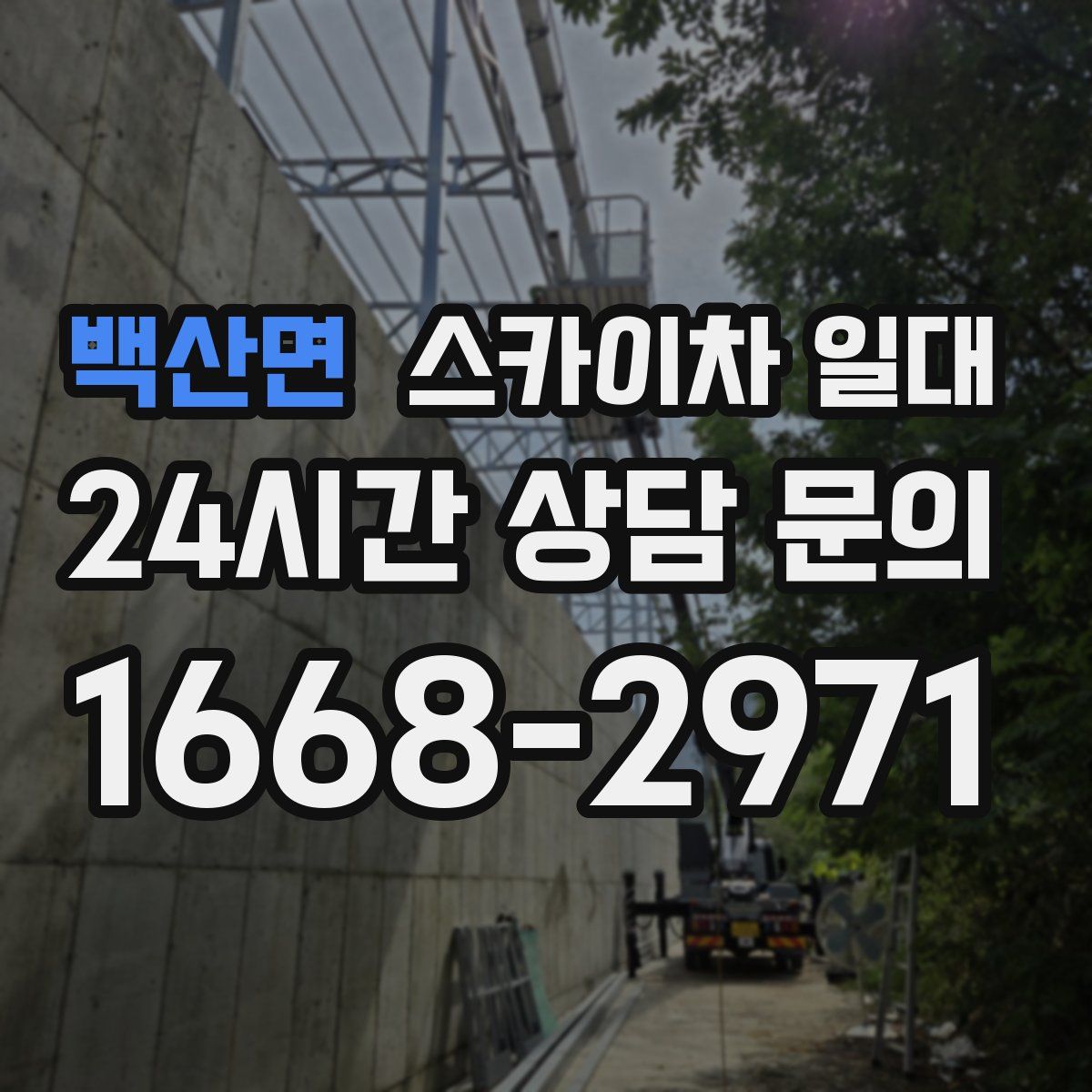 백산면 스카이차 일대