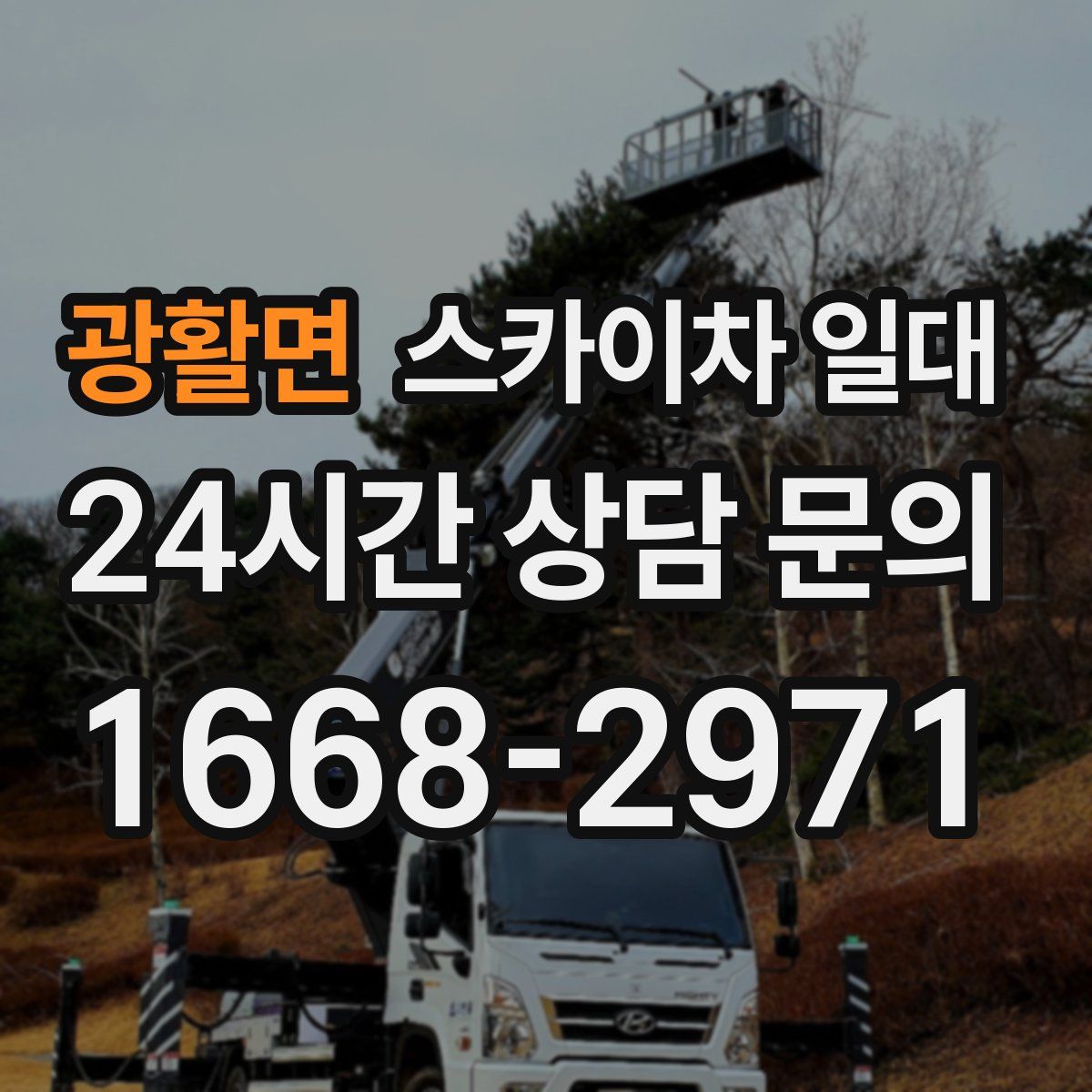 광활면 스카이차 일대