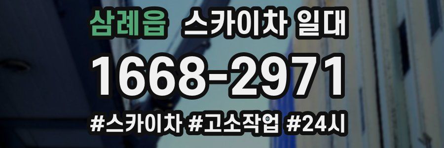 삼례읍 스카이차 일대