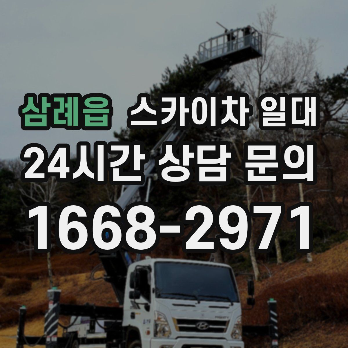 삼례읍 스카이차 일대