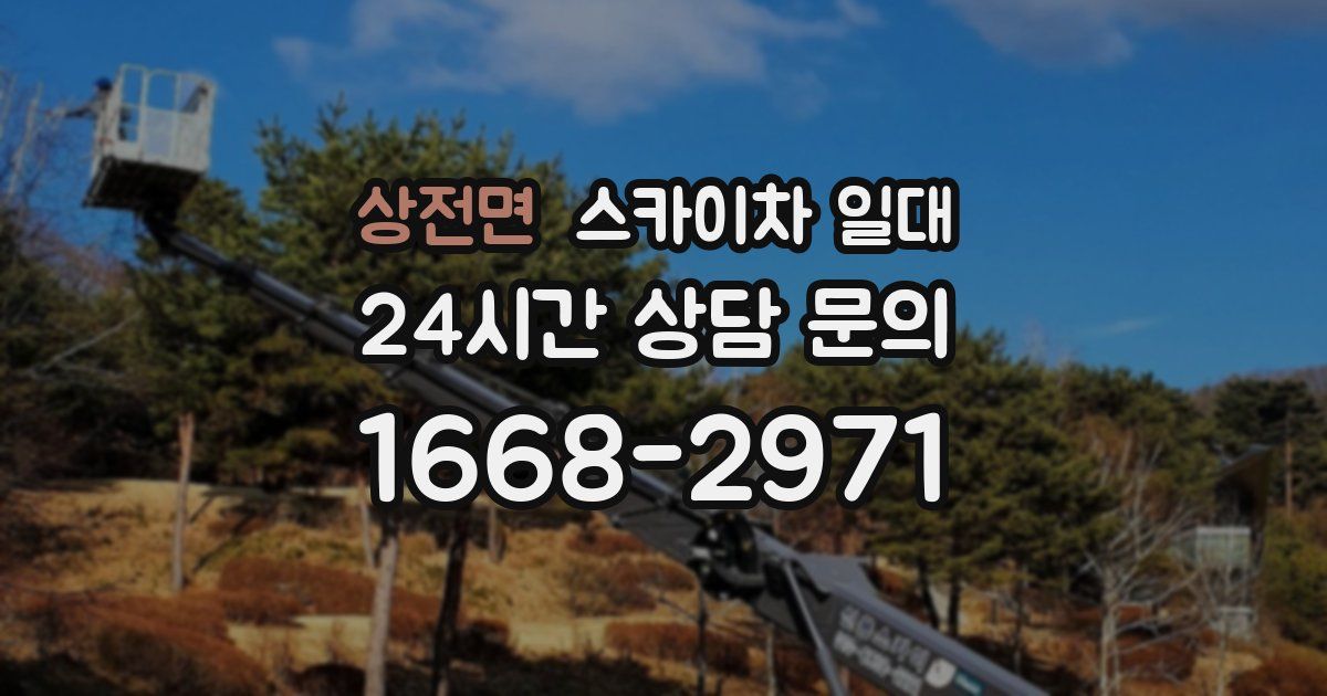 상전면 스카이차 일대