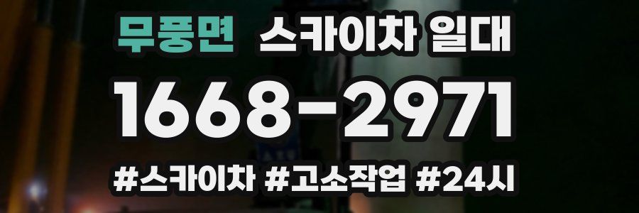 무풍면 스카이차 일대