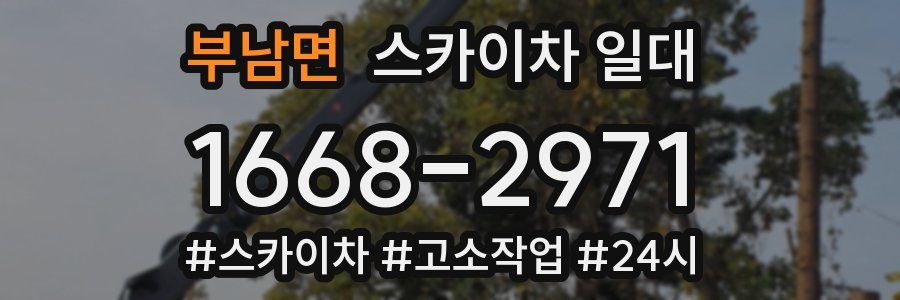 부남면 스카이차 일대