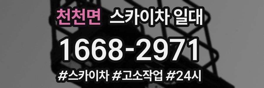 천천면 스카이차 일대