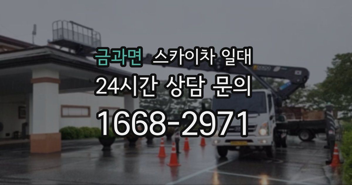 금과면 스카이차 일대