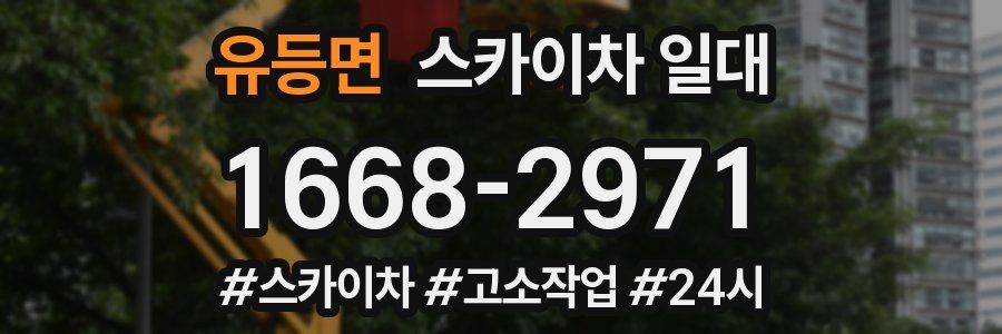 유등면 스카이차 일대